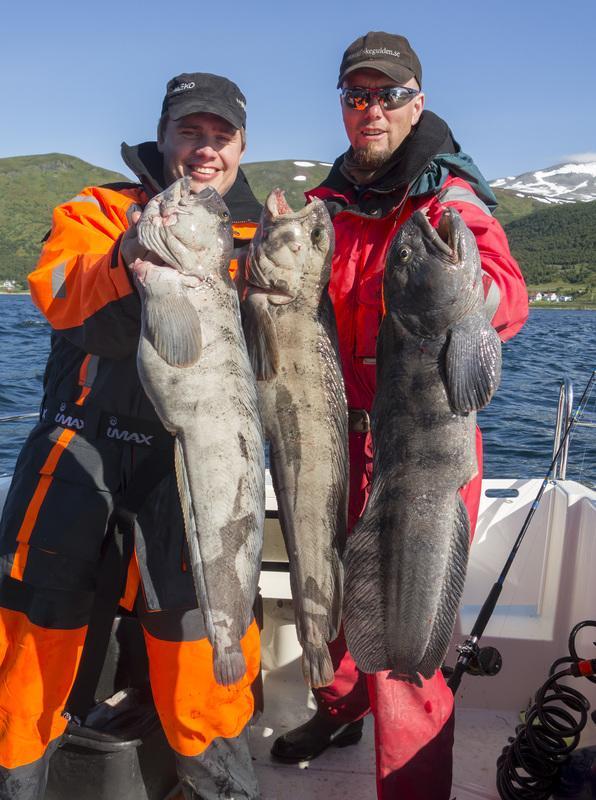 Hansnes Havfiske Екстериор снимка
