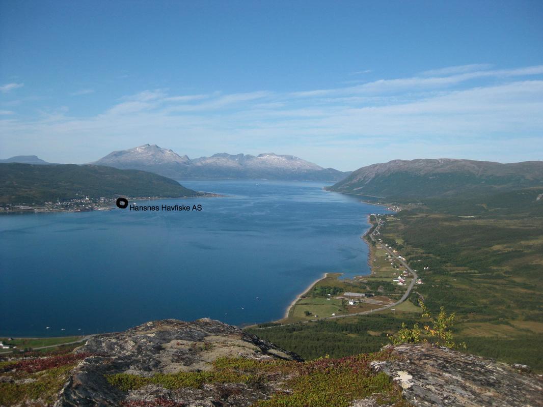 Hansnes Havfiske Екстериор снимка